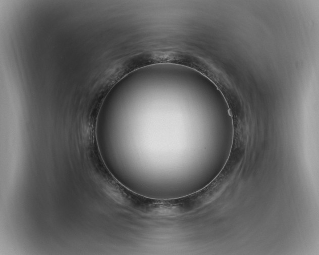 X0000116260601200911301154
