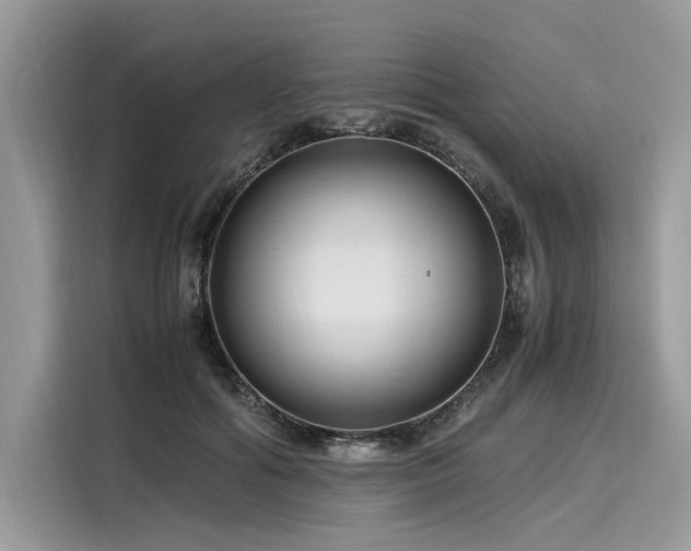 X0000116260602200911301154
