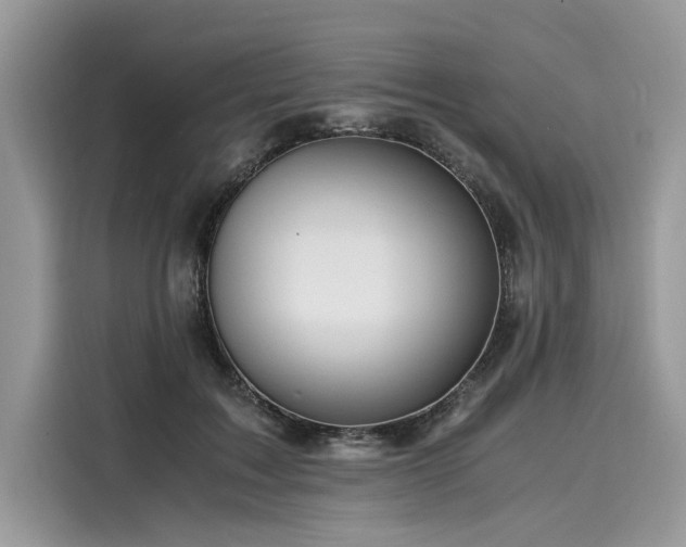 X0000116260603200911301154