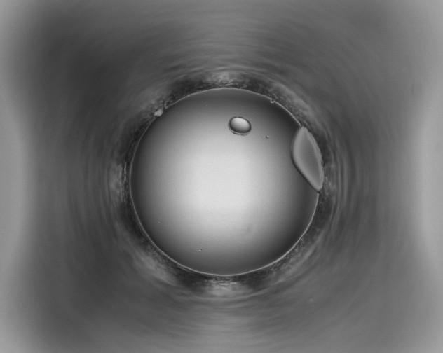 X0000116260605200911301154