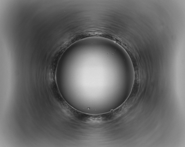 X0000116260606200911301154