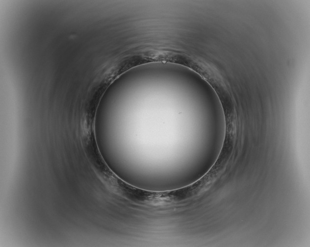 X0000116260607200911301154