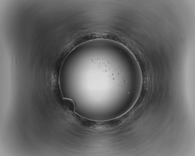 X0000116260608200911301154