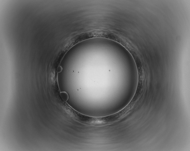 X0000116260610200911301154