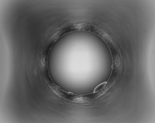 X0000116260611200911301154