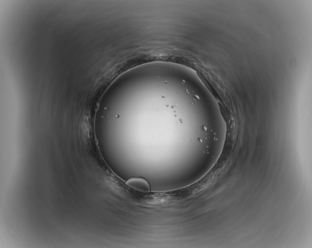 X0000116260612200911301154