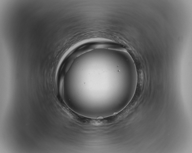 X0000116260613200911301154