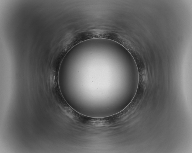 X0000116260615200911301154