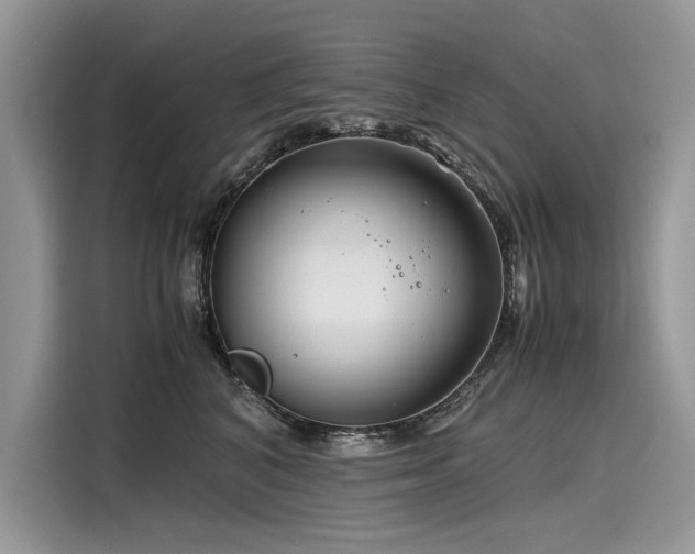 X0000116260616200911301154