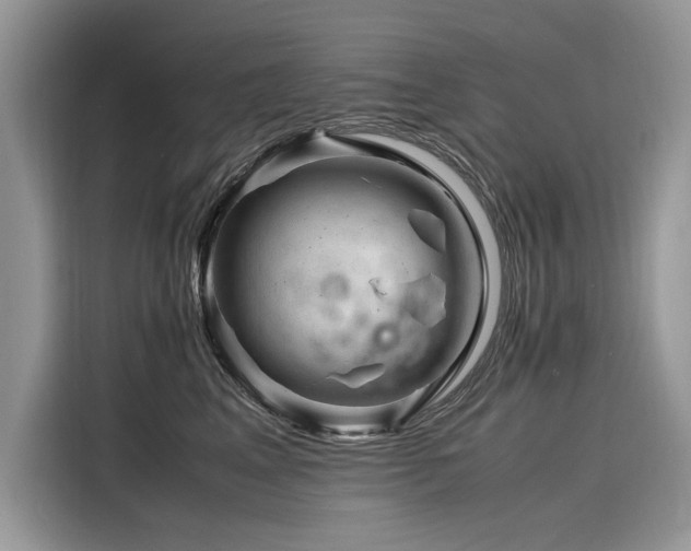 X0000116260617200911301154