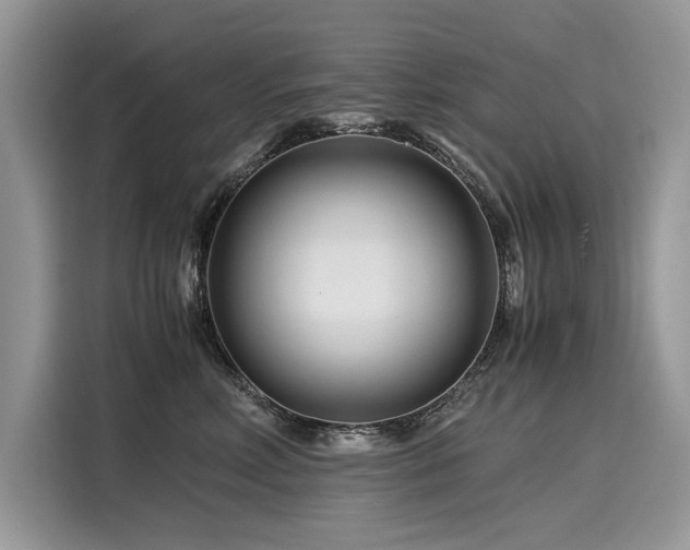 X0000116260618200911301154