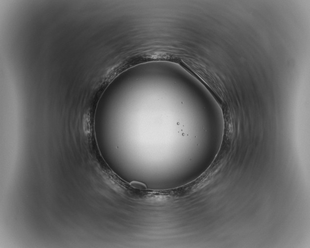 X0000116260620200911301154