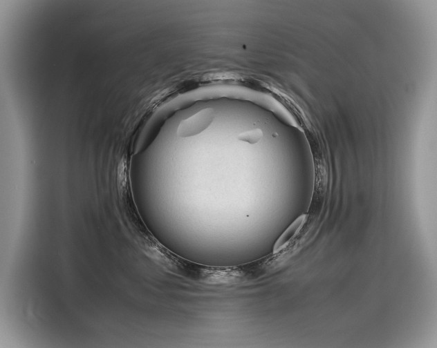 X0000116260621200911301154
