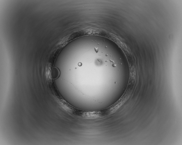 X0000116260622200911301154