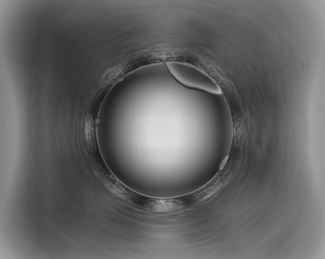 X0000116260623200911301154