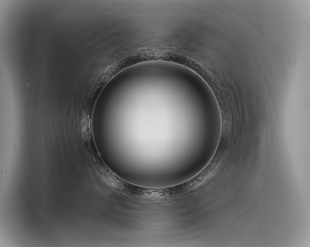 X0000116260624200911301154