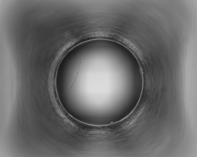 X0000116260625200911301154