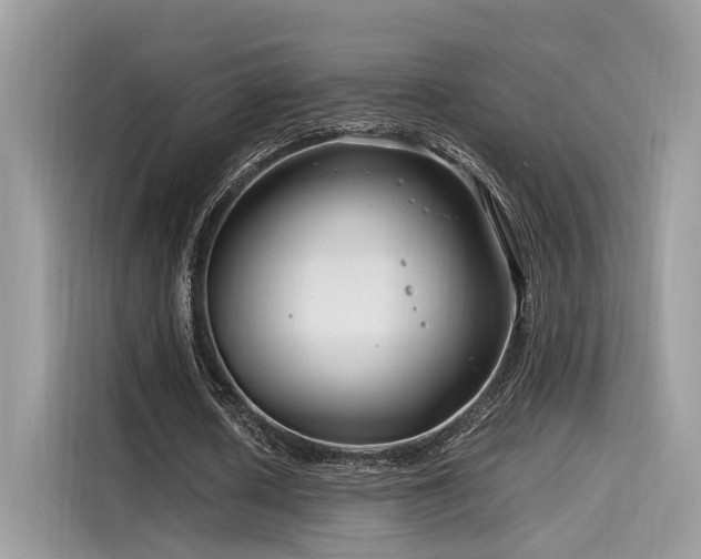 X0000116260626200911301154