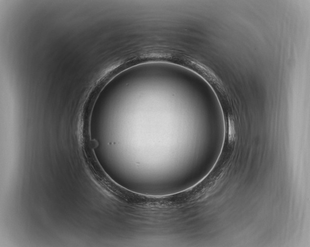 X0000116260627200911301154