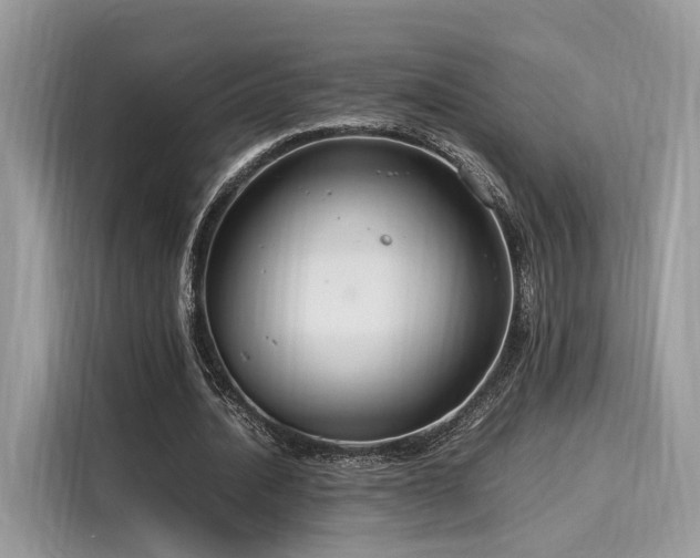 X0000116260628200911301154