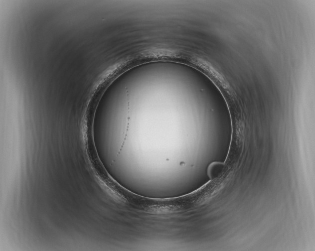 X0000116260629200911301154
