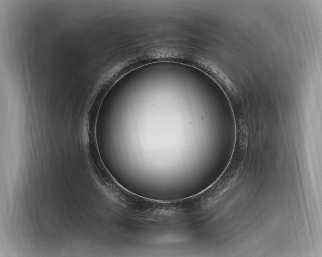 X0000116260631200911301154