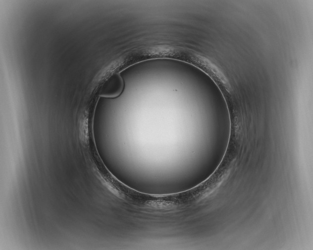 X0000116260633200911301154