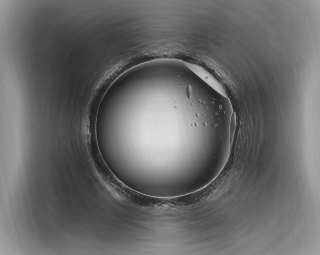 X0000116260634200911301154
