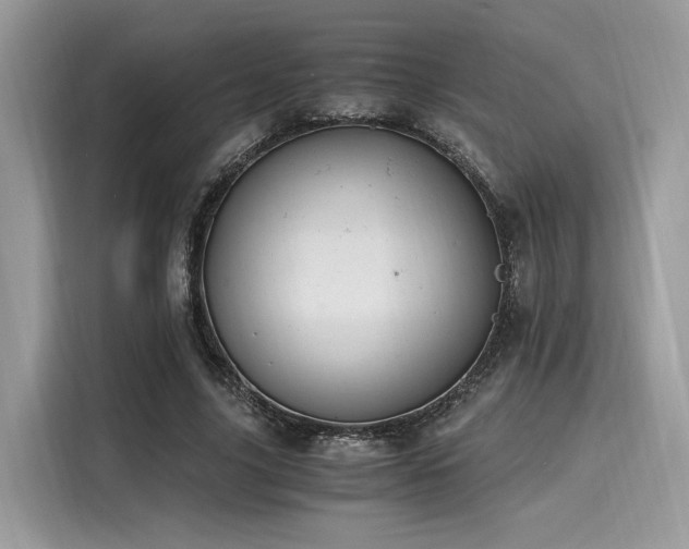X0000116260635200911301154