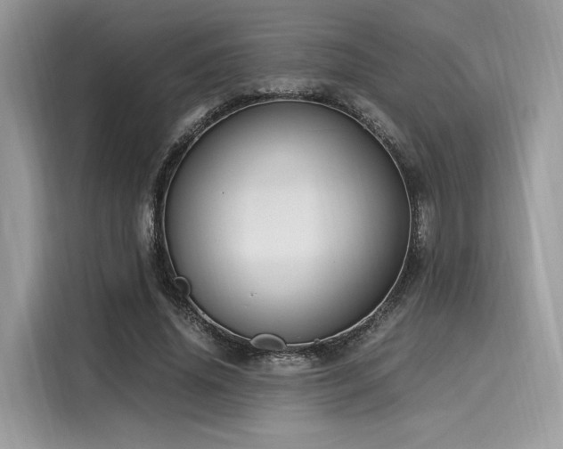 X0000116260636200911301154