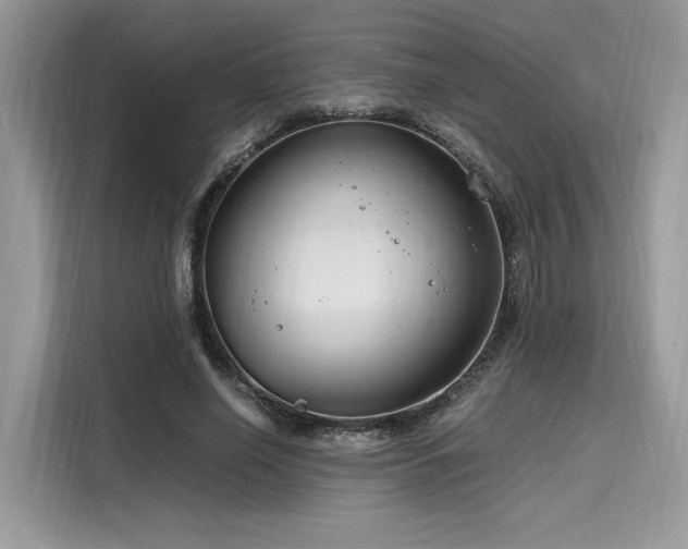 X0000116260638200911301154