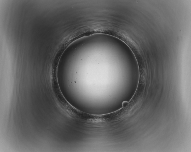 X0000116260639200911301154