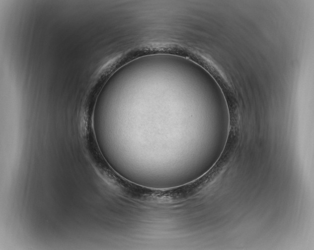 X0000116260640200911301154