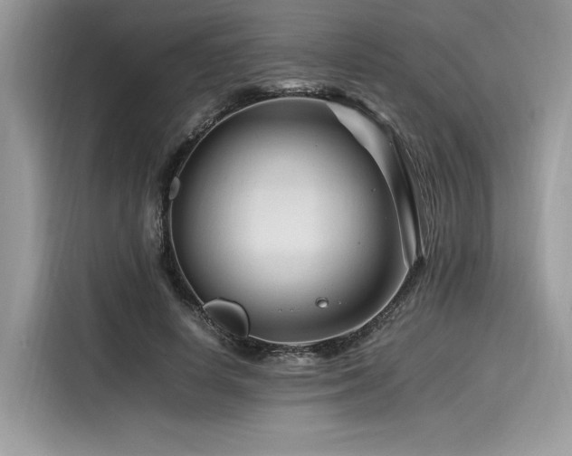 X0000116260642200911301154