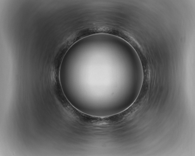 X0000116260643200911301154