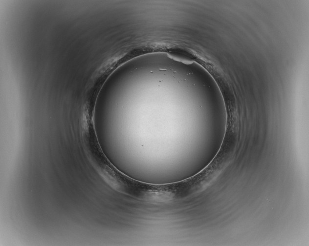 X0000116260644200911301154