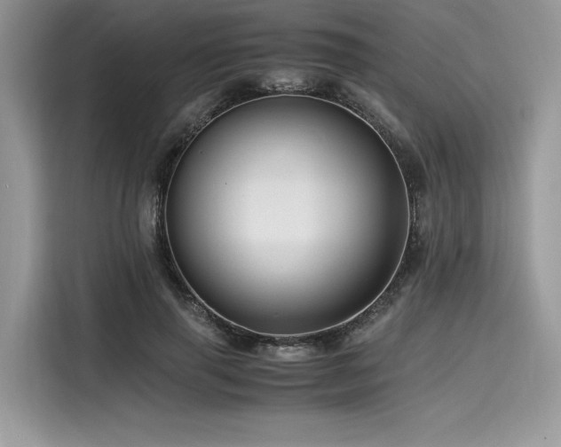 X0000116260645200911301154