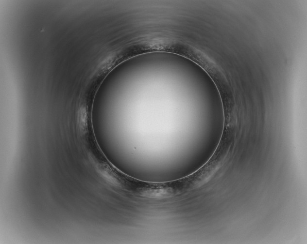 X0000116260646200911301154