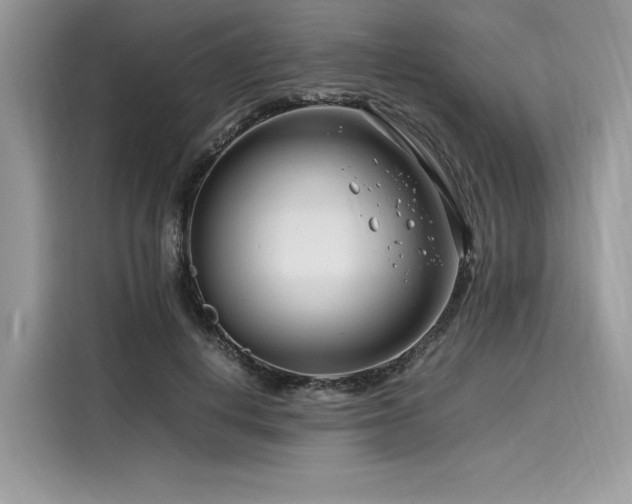 X0000116260648200911301154