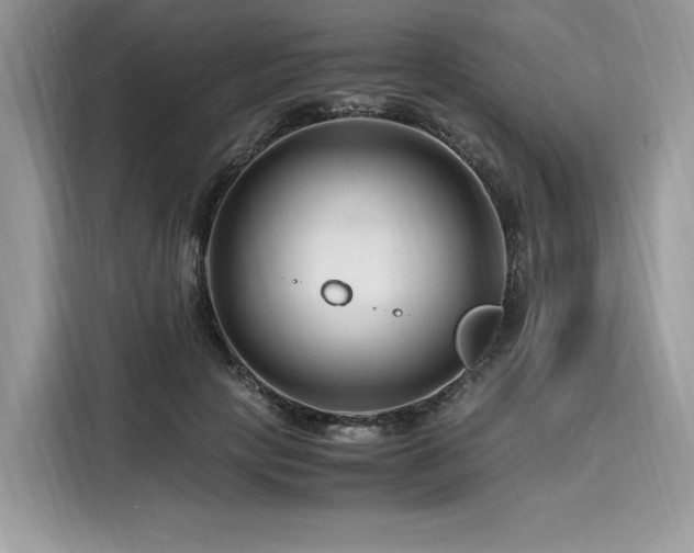 X0000116260649200911301154