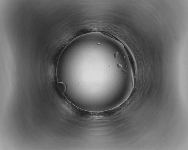 X0000116260650200911301154