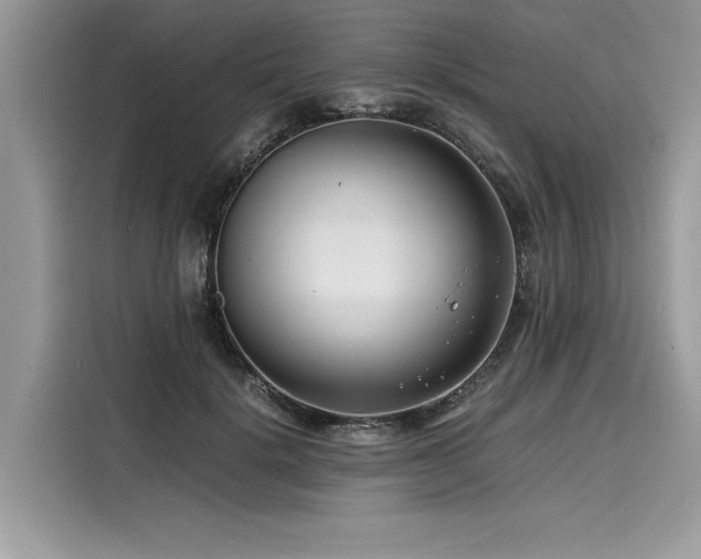 X0000116260652200911301154