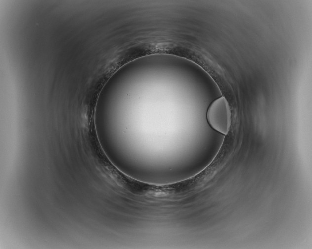 X0000116260655200911301154