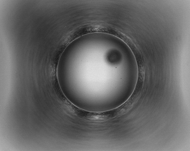 X0000116260657200911301154