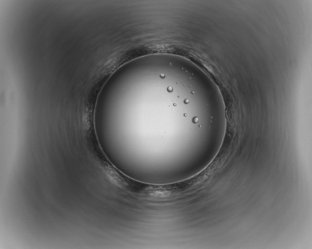 X0000116260658200911301154