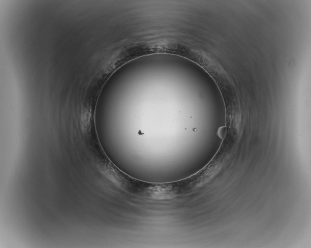 X0000116260660200911301154