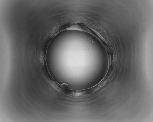 X0000116260662200911301154