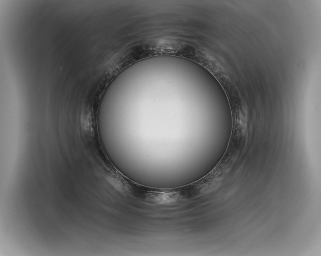 X0000116260663200911301154