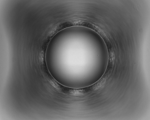 X0000116260664200911301154