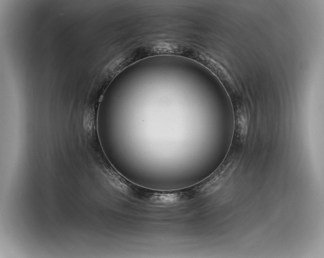 X0000116260665200911301154